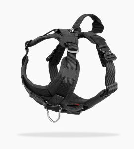 Custom dog harness with quick-release buckles – private label