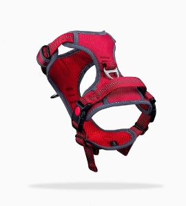 Private label custom dog harness – bespoke pet products...