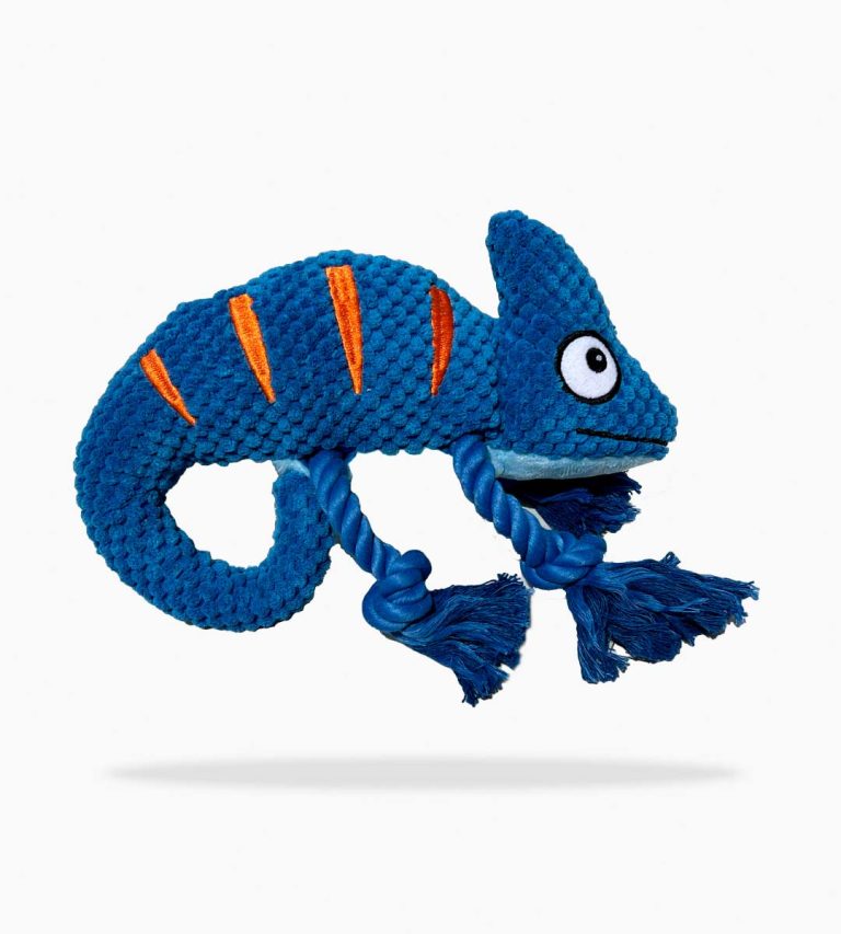 Bespoke plush ring toy lizard for gentle chewers – private label